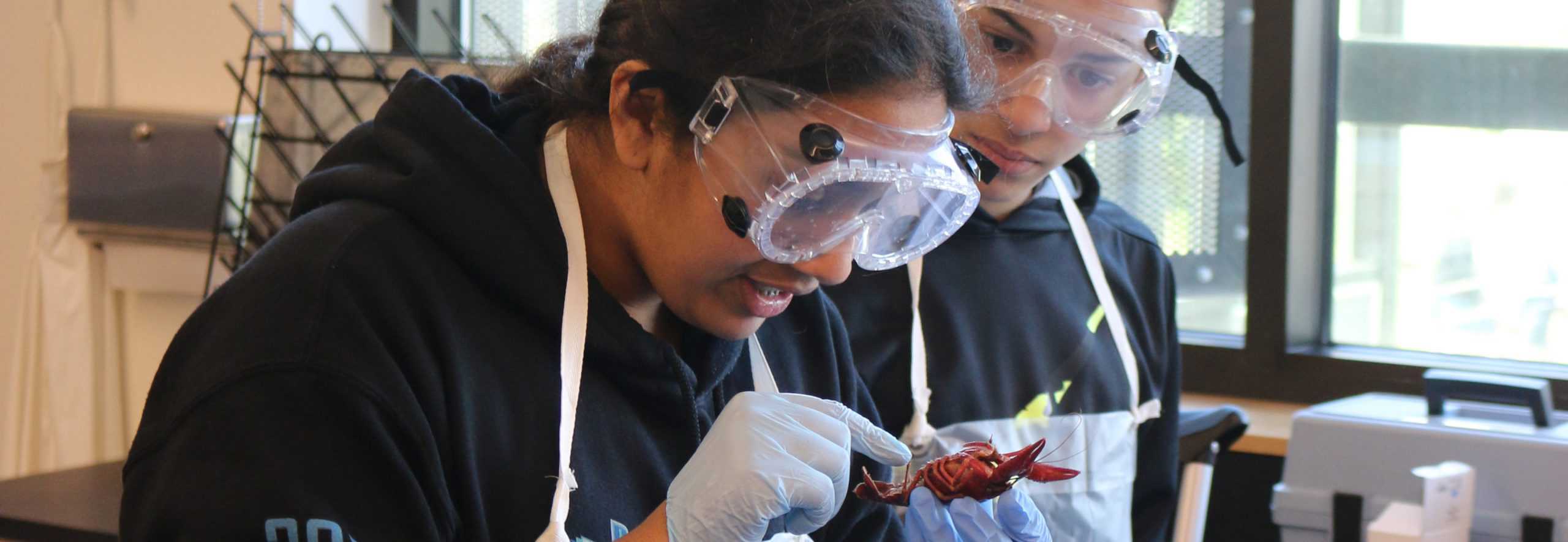 Two students in Science class